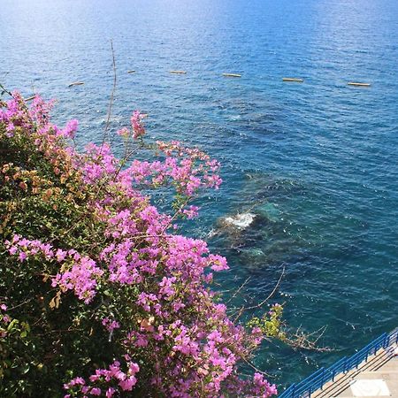 Apartments Madeira Old Town Фуншал Экстерьер фото